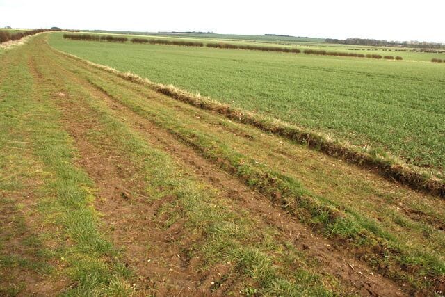Huggate Heads and the Minster Way, south of Huggate, East Riding of Yorkshire, England.