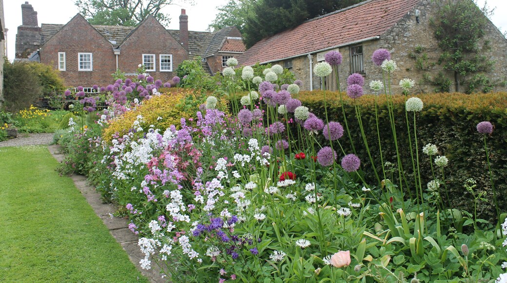 The formal gardens to the north of w:Shandy Hall.
