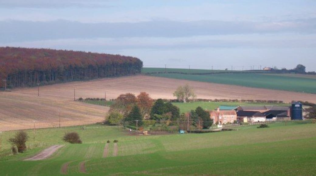 Easthorpe Farm, Londesborough, East Riding of Yorkshire, England. A view towards Easthorpe Farm, set in a gentle Wolds landscape near Londesborough.
