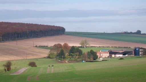 Easthorpe Farm, Londesborough, East Riding of Yorkshire, England. A view towards Easthorpe Farm, set in a gentle Wolds landscape near Londesborough.