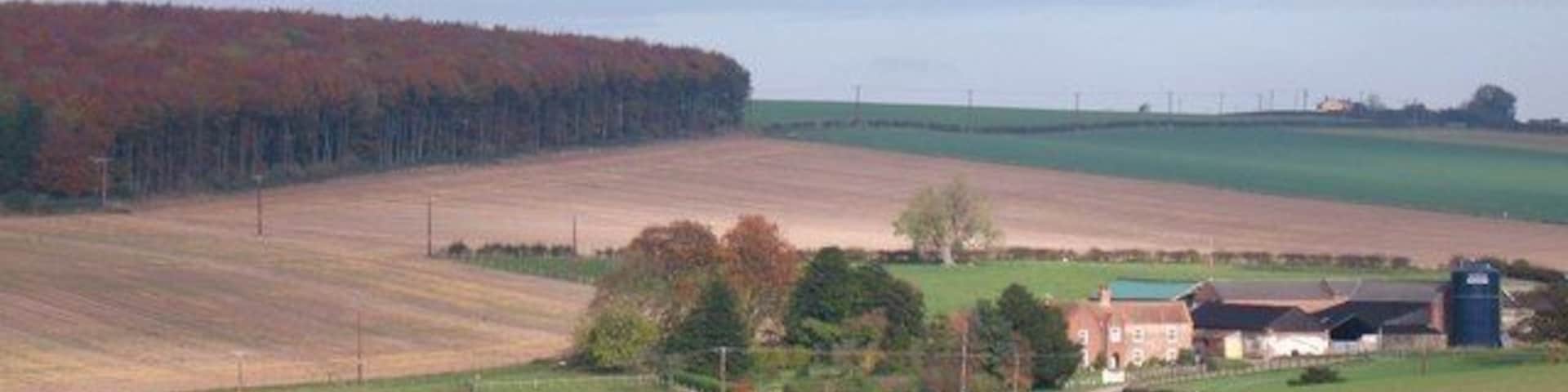 Paisagem rural com campos, uma casa de campo e uma floresta ao fundo.