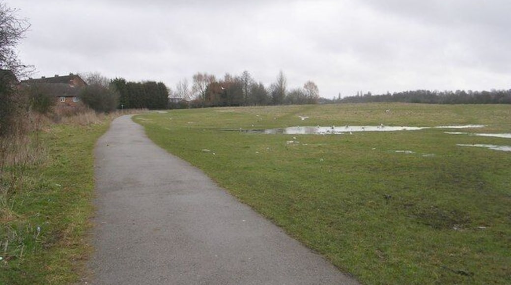 Cycle Path across Hob Moor - viewed from Kingsway West