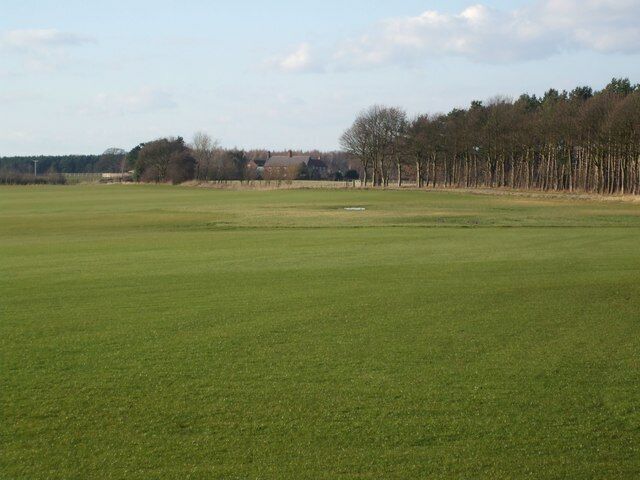 A large green field with a line of trees in the background.