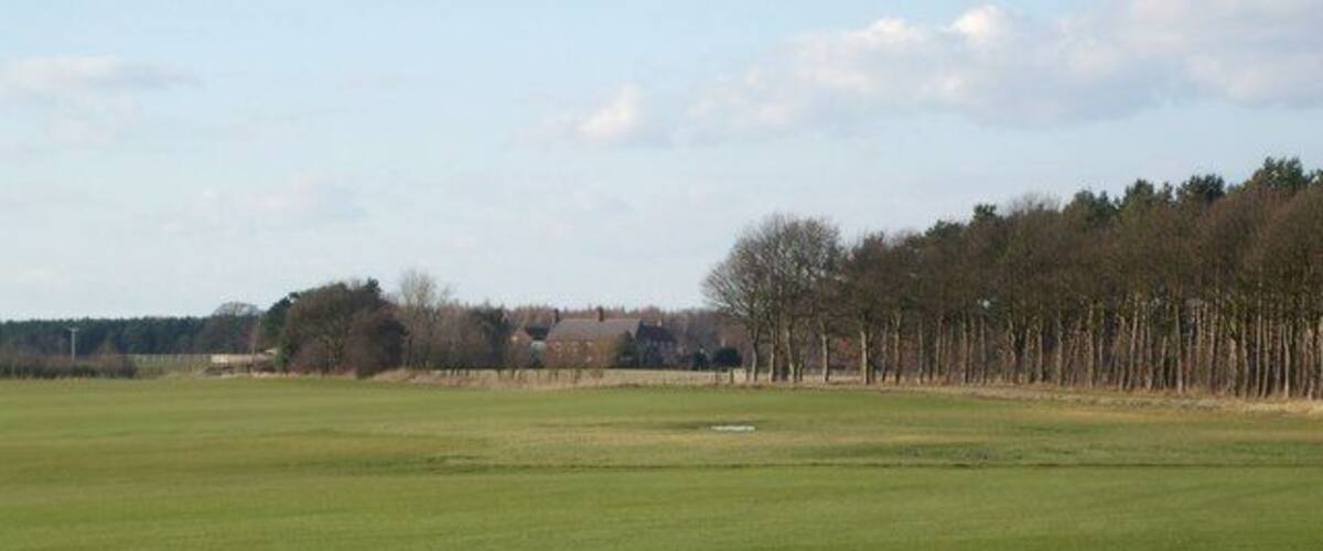 A large green field with a line of trees in the background.
