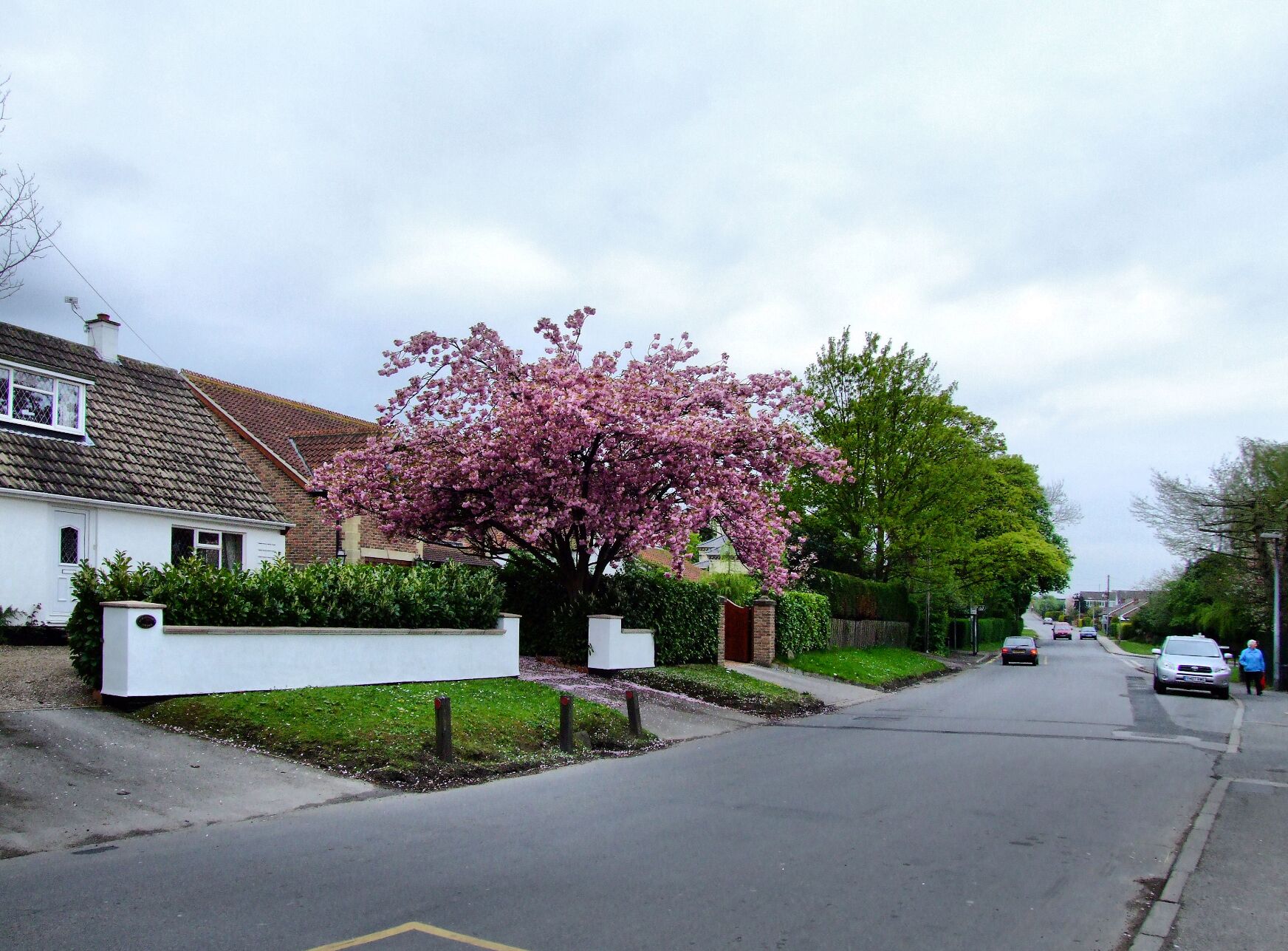 Main Street, Wilberfoss, East Riding of Yorkshire, England. From Shops. Facing West Taken in Spring from the Butcher's shop towards Mill Lane with the junction of Main Street and Storking Lane on the right at the street sign.