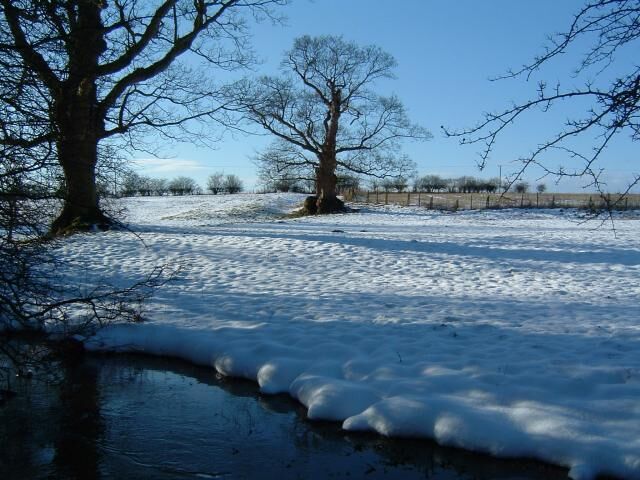 Towthorpe Medieval Village south of Londesborough, East Riding of Yorkshire, England. Looking Southwest towards the remains of the medieval village from the banks of Towthorpe Beck.