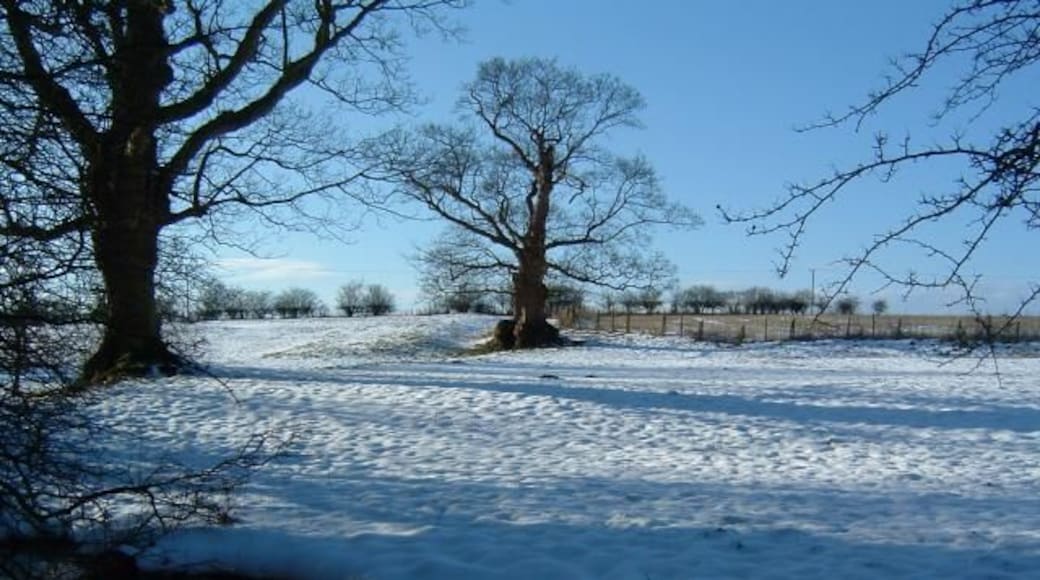 Towthorpe Medieval Village south of Londesborough, East Riding of Yorkshire, England. Looking Southwest towards the remains of the medieval village from the banks of Towthorpe Beck.