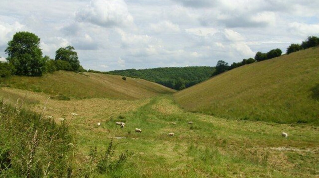 Cow Dale, Huggate, East Riding of Yorkshire, England. A dry Wolds valley to the north of Huggate. The Chalkland Way passes this way.