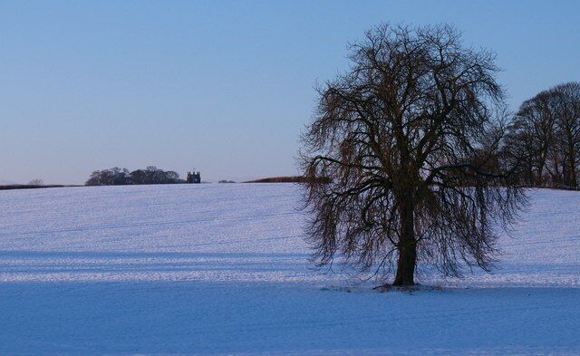 Un campo nevado con un árbol sin hojas y colinas a lo lejos.