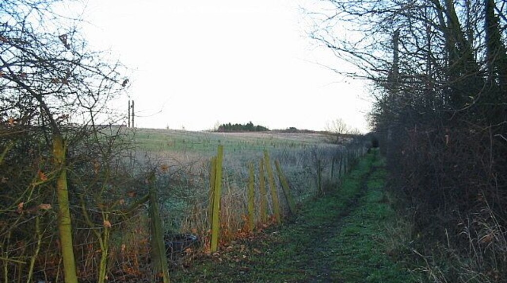 Bridleway running alongside the old Stillingfleet Mine (Disused)