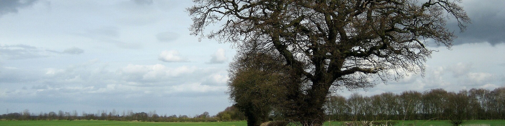 Country between Stockton and Warthill Following footpath beside the field boundary between Stockton in the Forest and Warthill.