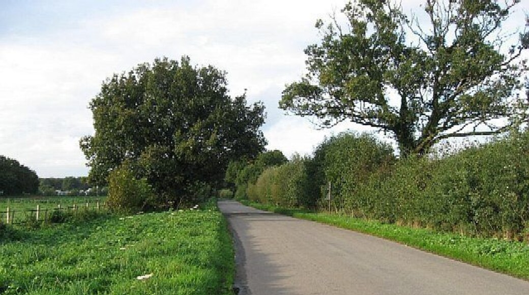 The Road To Husthwaite From Easingwold via Acaster Hill.