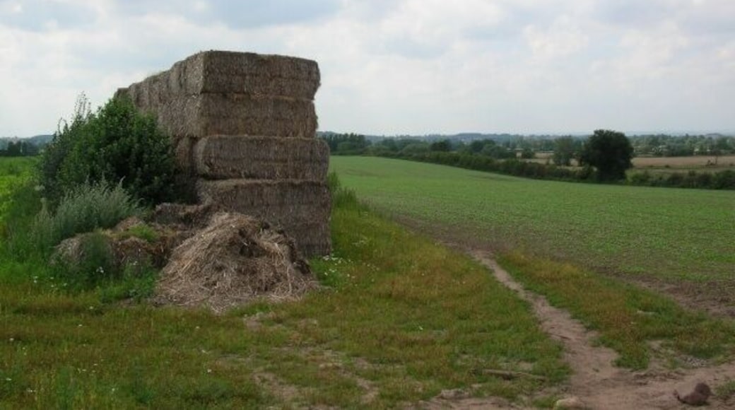 Bales on a bend in Rice Lane The land drops away from Rice Lane towards the Ure. These bales are a year old. Rice Lane consisted of very dry dust, making cycling impossible.