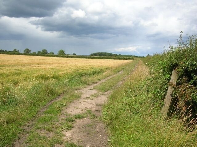 Crossing a ditch The bridleway between Home Farm and Moor Lane crosses a ditch at this point.