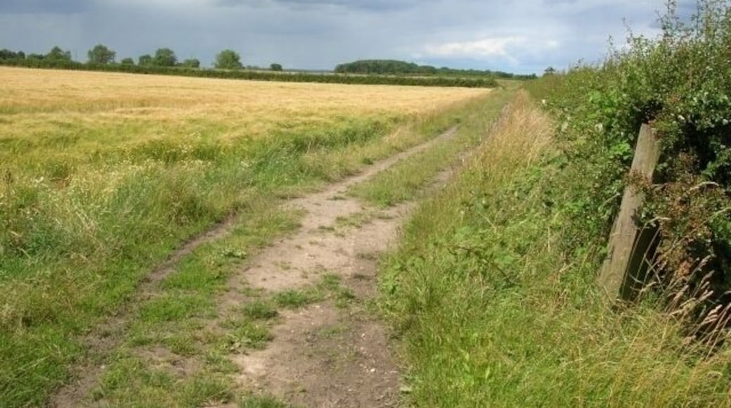 Crossing a ditch The bridleway between Home Farm and Moor Lane crosses a ditch at this point.