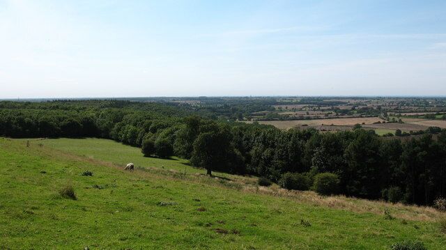View over Howsham Wood On the path that heads south from Spy Hill.