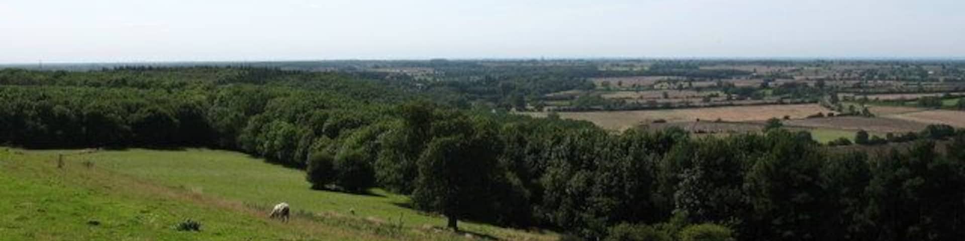 View over Howsham Wood On the path that heads south from Spy Hill.