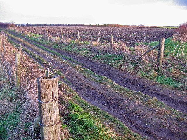 Deep Dale, east of South Newbald, East Riding of Yorkshire, England. Looking NE across typical farmland in this grid square, to Deep Dale, the trees on the horizon.