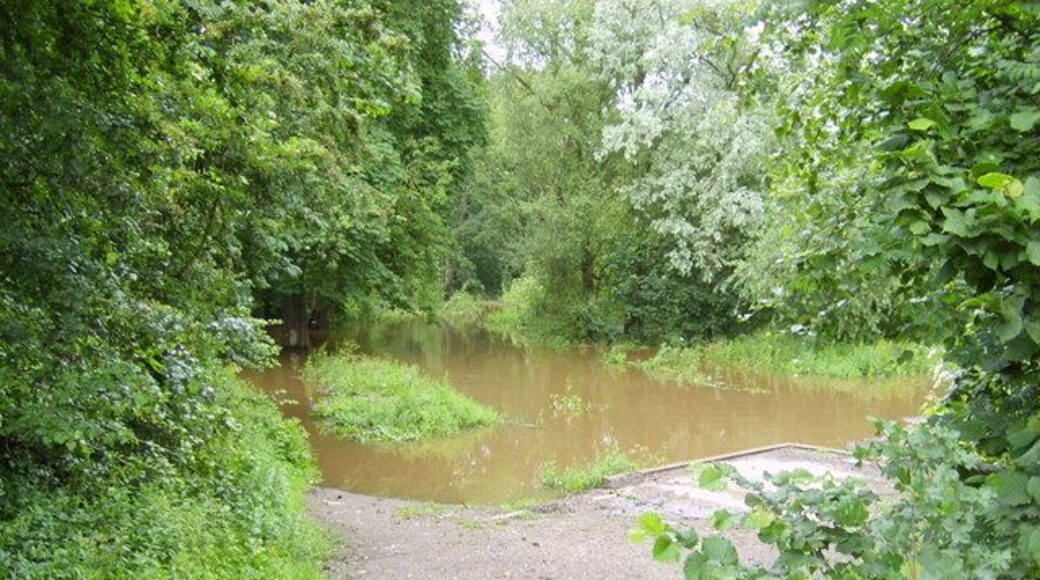 Flood This piece of land next to Wolfe Avenue and Melrosegate was also flooded by Tang Hall Beck.