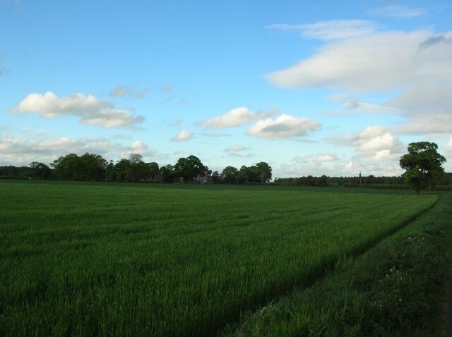 Towards South Farm, Kexby, North Yorkshire, England. Looking towards South Farm on the Scoreby Estate.