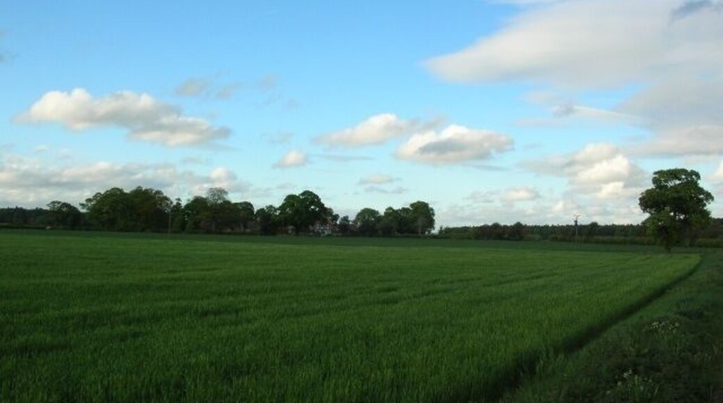 Towards South Farm, Kexby, North Yorkshire, England. Looking towards South Farm on the Scoreby Estate.