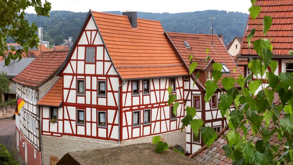 A traditional half-timbered house with red-tiled roofs and white walls, surrounded by greenery and other similar houses.