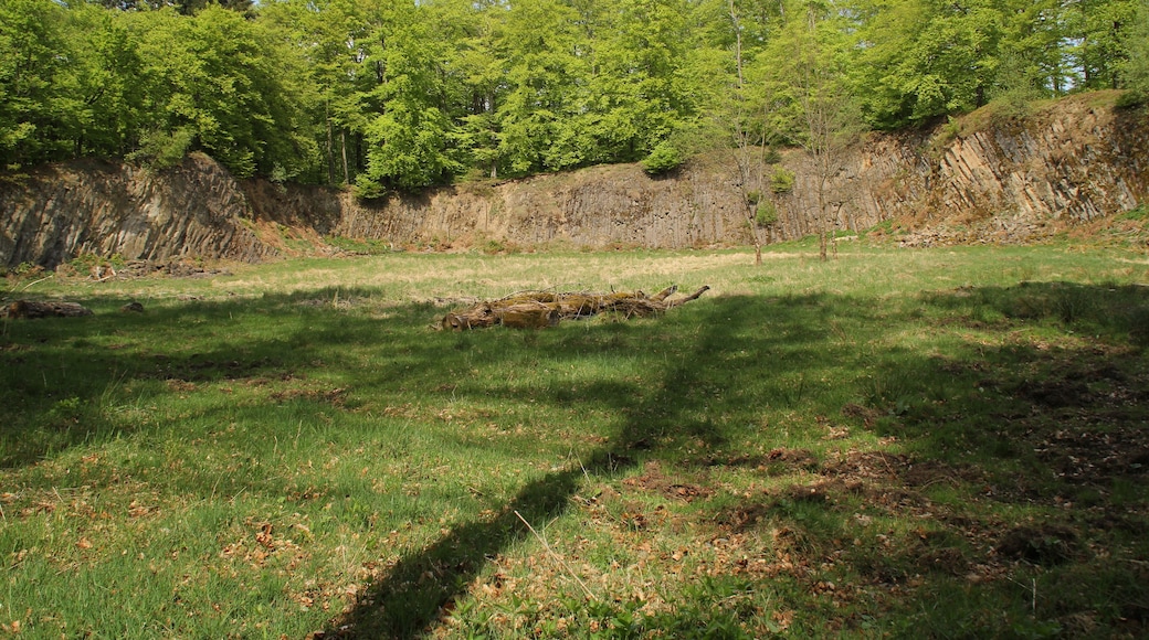 Steinbruch am Hohen Berg bei Bad Orb