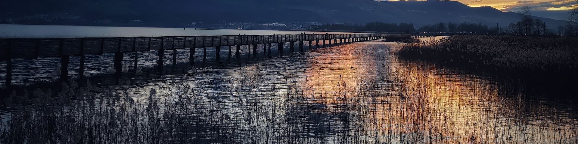 It's quite impressive to see how the nature still remains quiet and beautiful even if the road is just a stone's throw away.