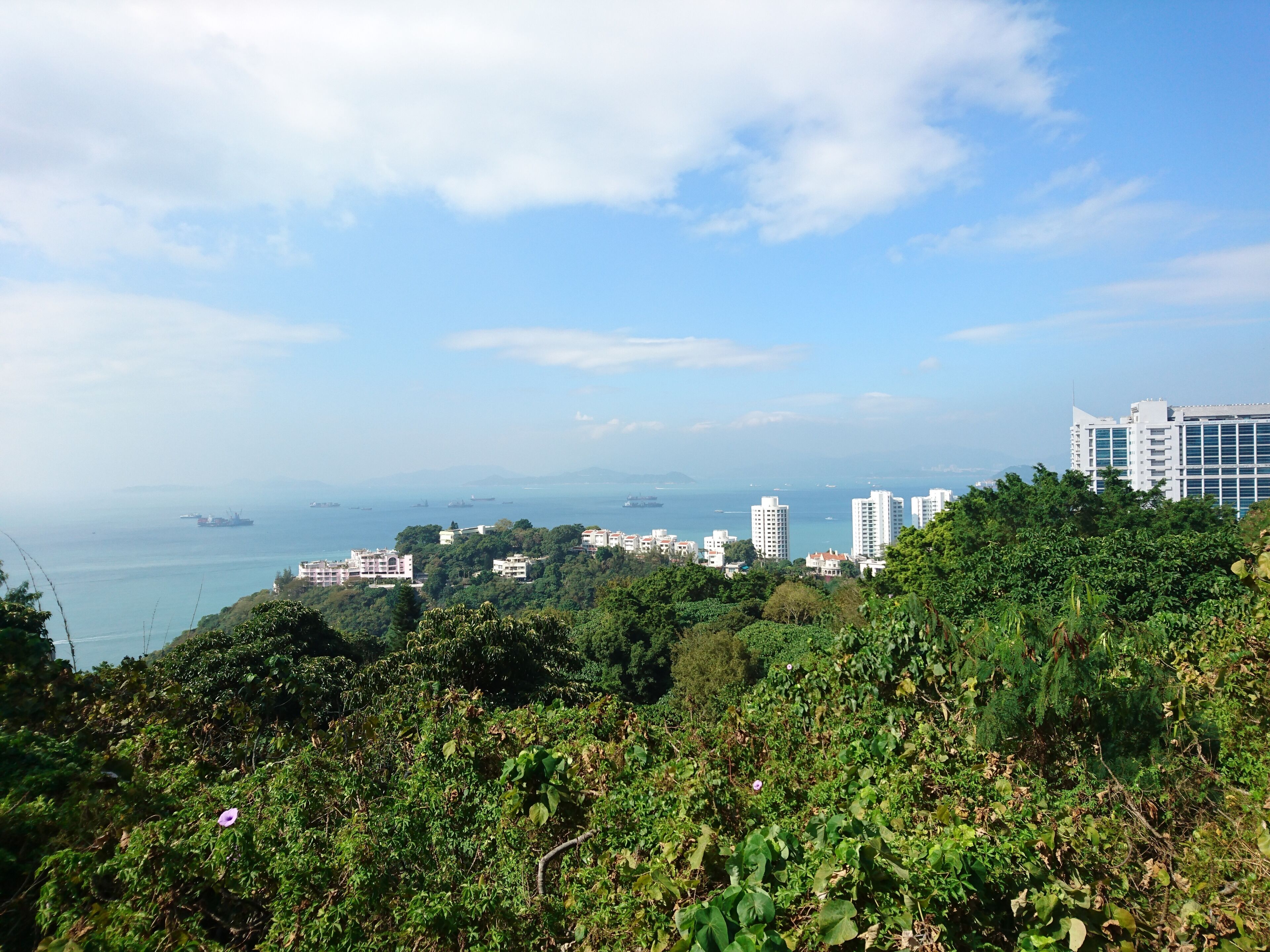 Sandy Bay viewed from Pok Fu Lam Road