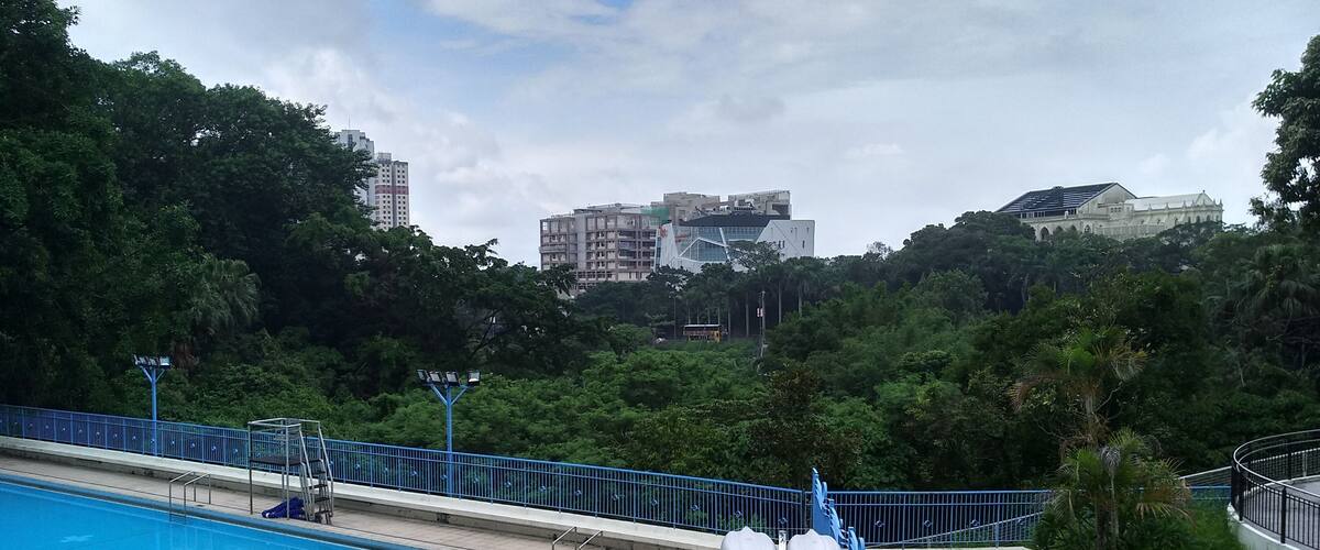 èæ¶æéŠæžŻć·ć„ćæèłœéŠŹæć·ć„çæžžæłłæ±