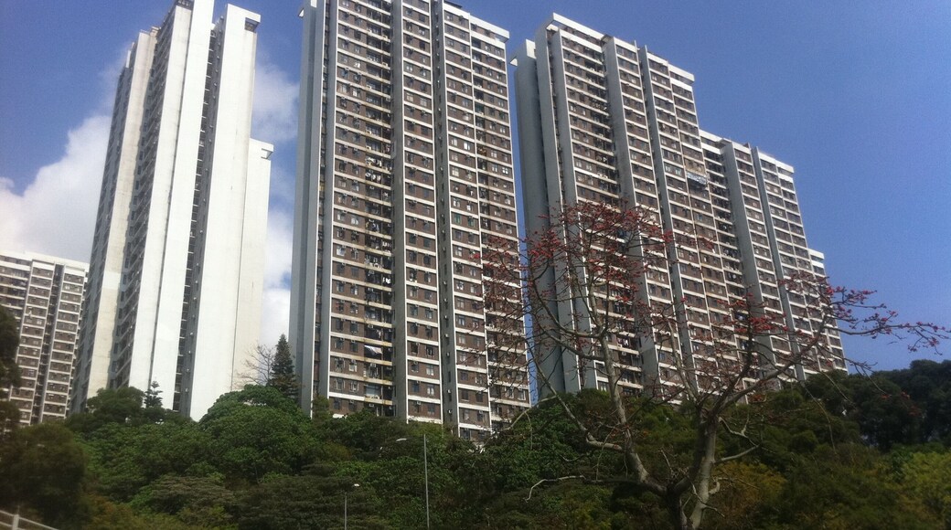 薄扶林道 zh:置富花園. Pok Fu Lam Road, Hong Kong