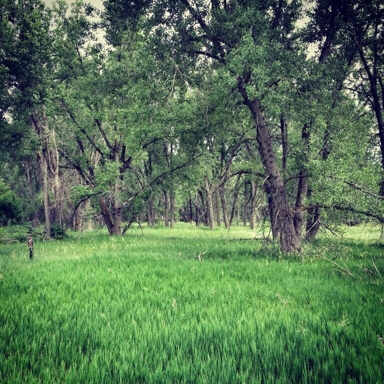 Such a great park to spend the day in. But $8 for admission? Sheesh.