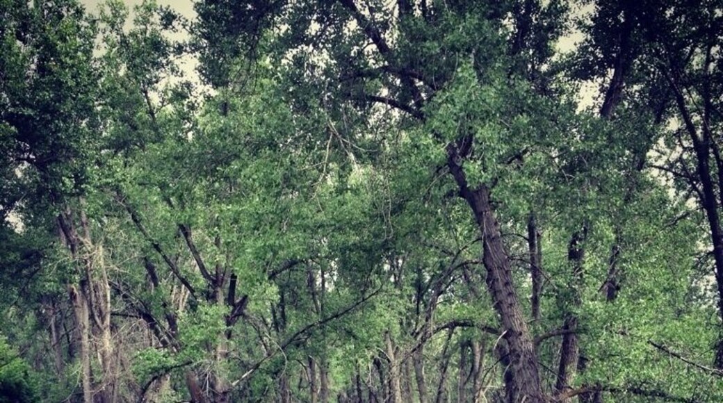 Such a great park to spend the day in. But $8 for admission? Sheesh.