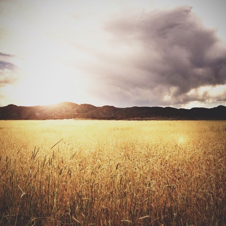 Don't miss the incredible sunsets right here at the entrance to the park. Before they charge you the $8 of course. See, so you can cheat the system! 😉😄