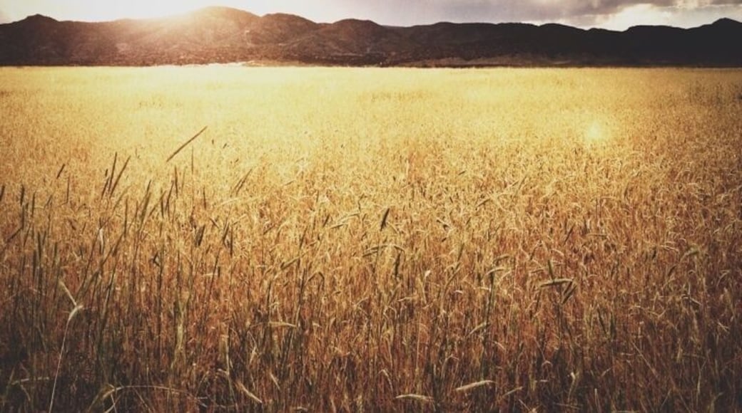 Don't miss the incredible sunsets right here at the entrance to the park. Before they charge you the $8 of course. See, so you can cheat the system! 😉😄