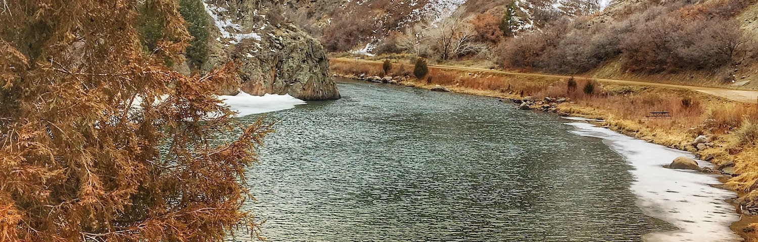 Waterton Canyon 14 mile run today. 💕