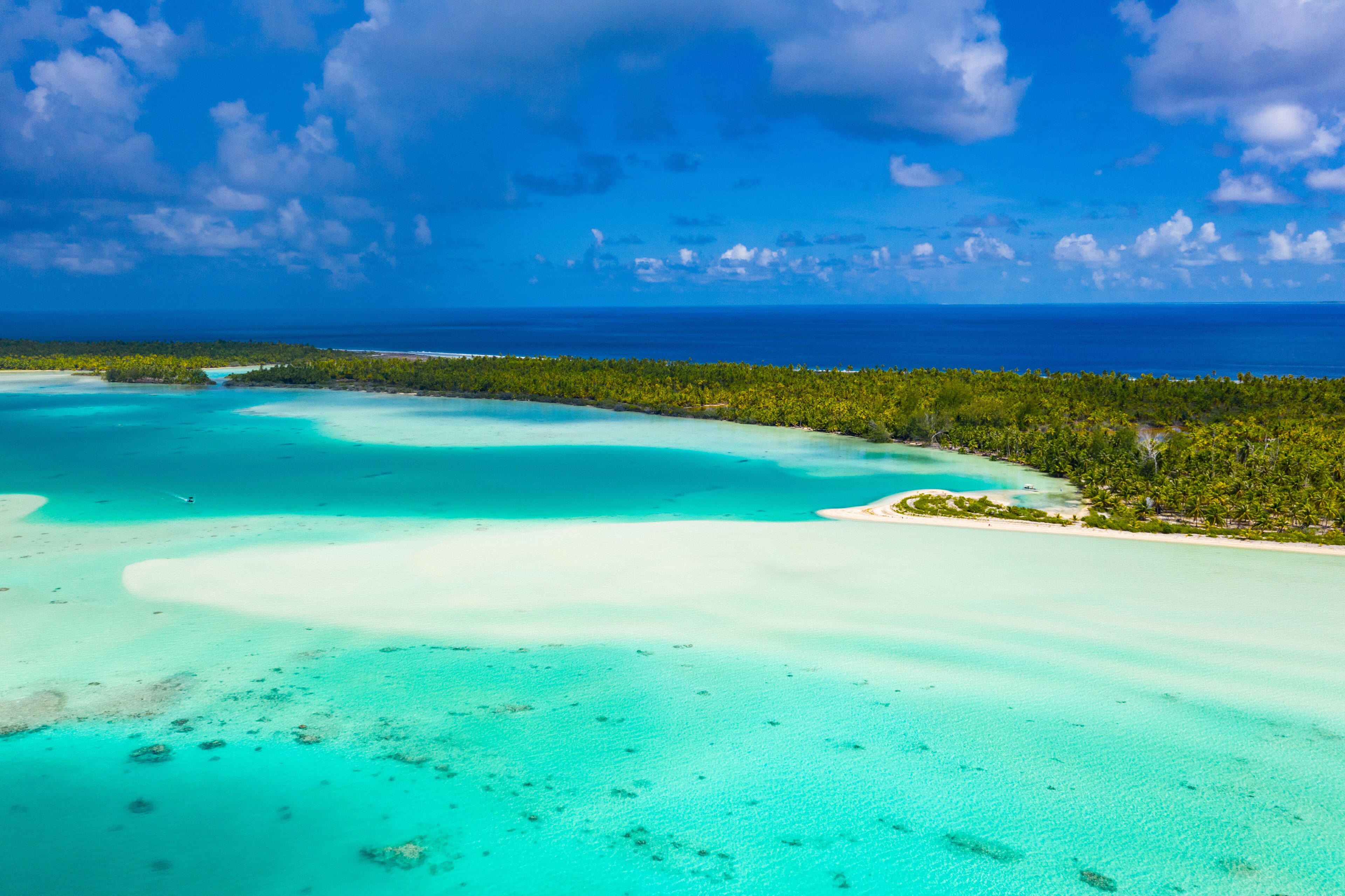 A turquoise lagoon, a sandy beach, and a dense forest.