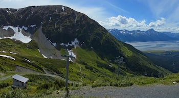 View from upper station of Mt.Alyeska Tram at Girdwood in Alaska,United States,North America
