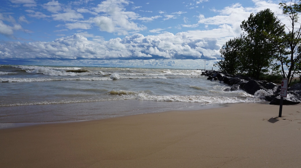 High winds churn up waves on Lake Michigan's Illinois shoreline. The water was closed at local beaches due to rough surf.