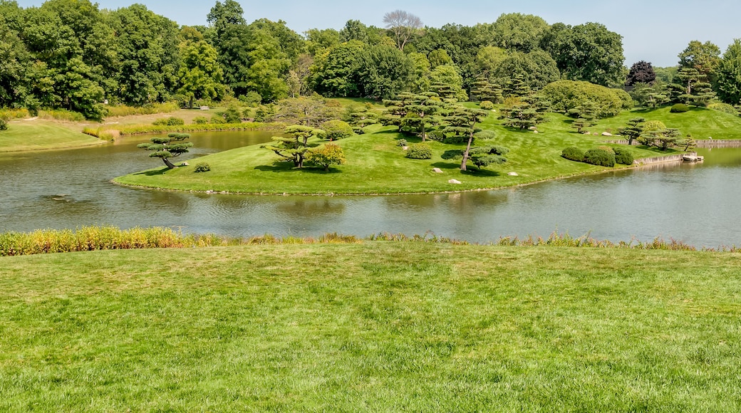 Summer Landscape on sunny day of Japanese Island in Chicago Botanic Garden, Glencoe, USA