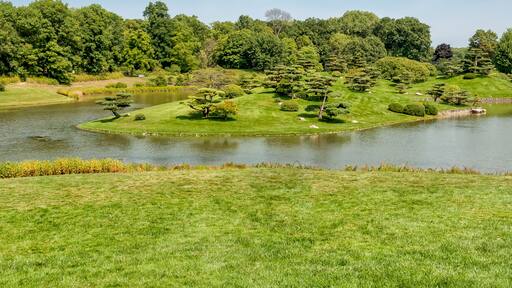 Summer Landscape on sunny day of Japanese Island in Chicago Botanic Garden, Glencoe, USA