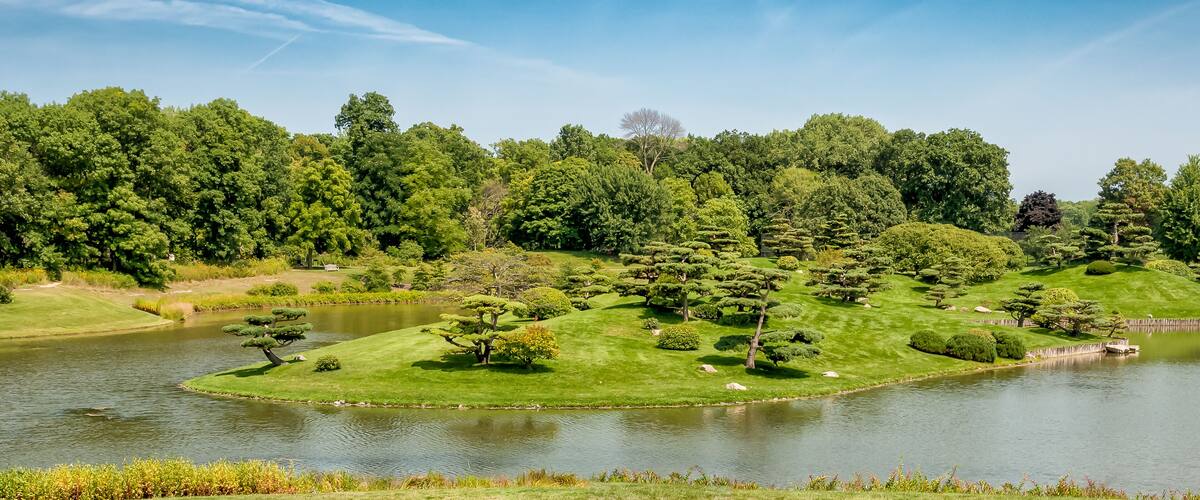 A serene landscape with a pond, manicured grass, and a variety of trees.