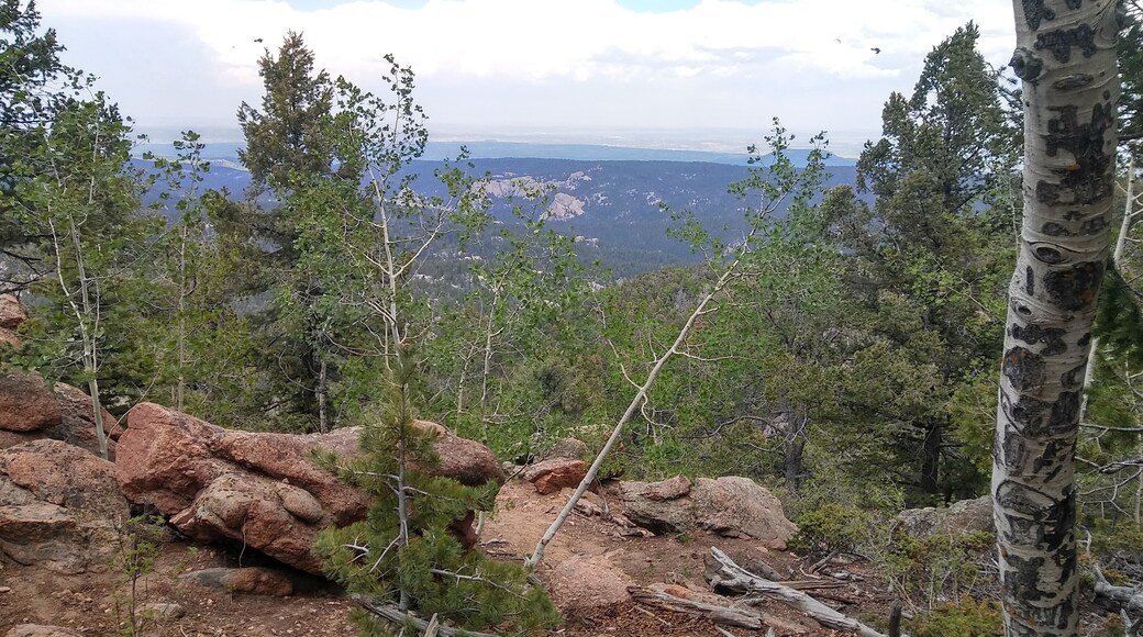 One of the views as you hike to the top.
