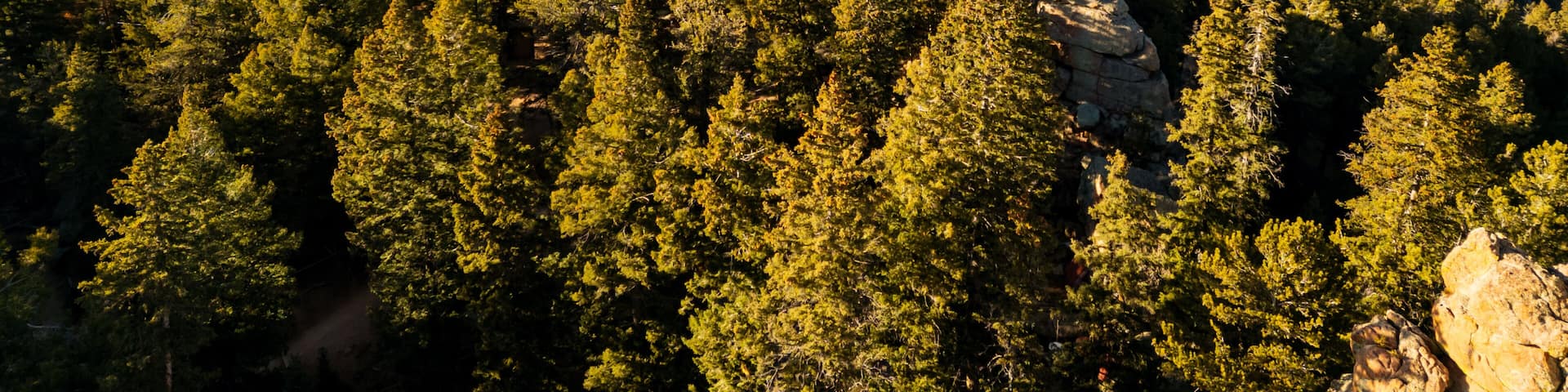 Spectacular 360-degree views from the historic Devil's Head Lookout atop a granite pinnacle in the Rampart Range of Pike National Forest, featuring rugged peaks and vast Colorado wilderness.