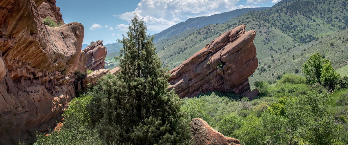 A canyon with prominent red rock formations and green vegetation.