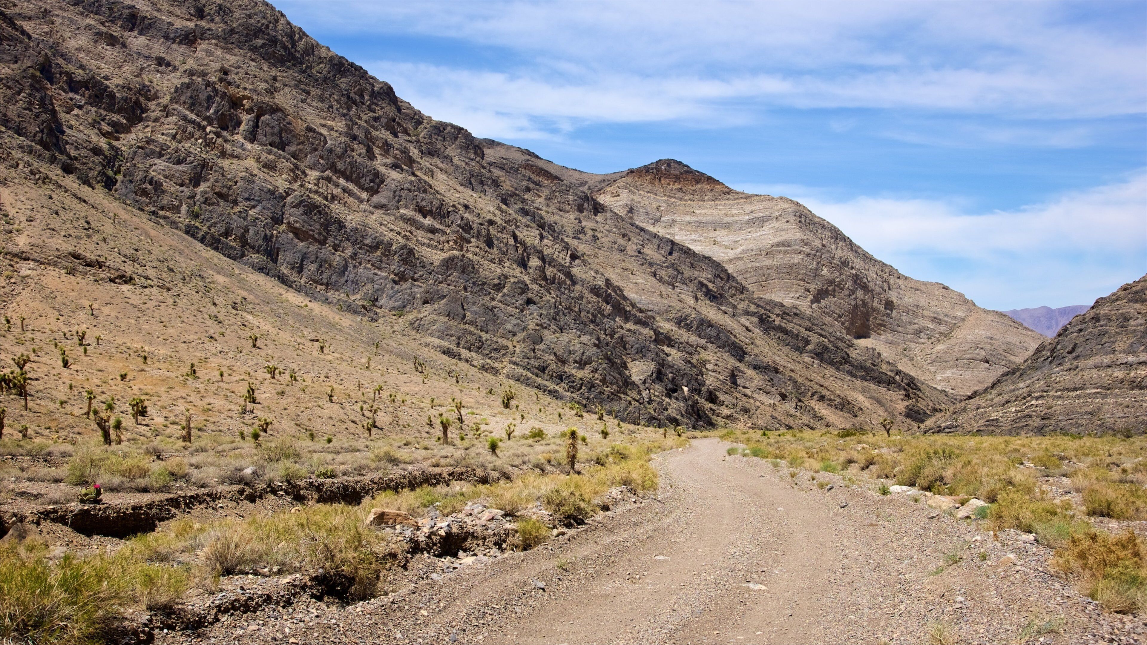 Vallée de la Mort montrant scènes tranquilles et vues du désert
