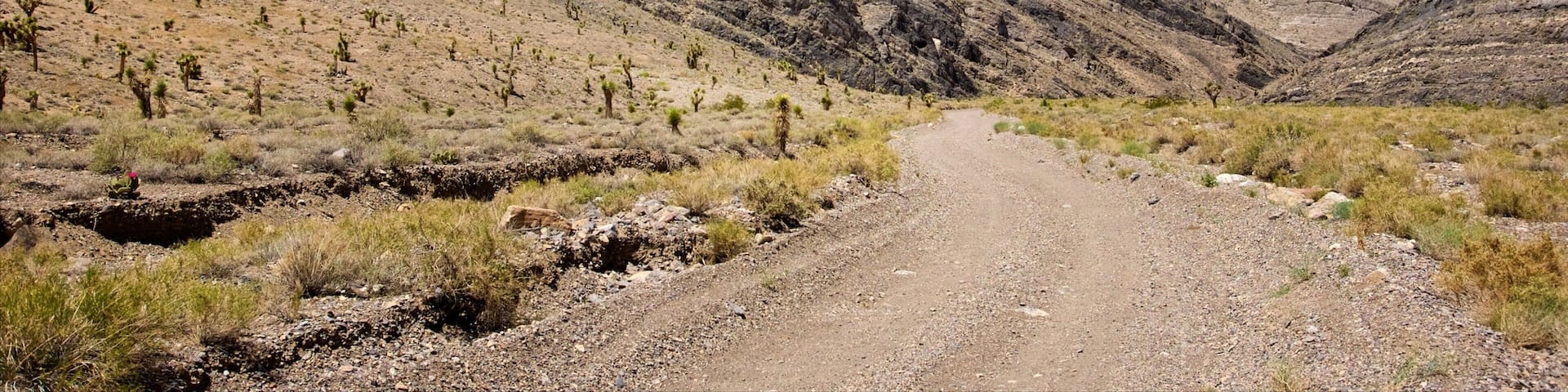 Death Valley featuring desert views and tranquil scenes