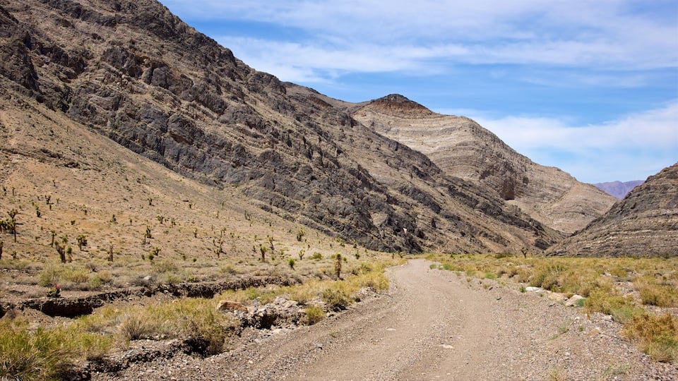 A rugged mountain landscape with a dirt road winding through sparse vegetation.