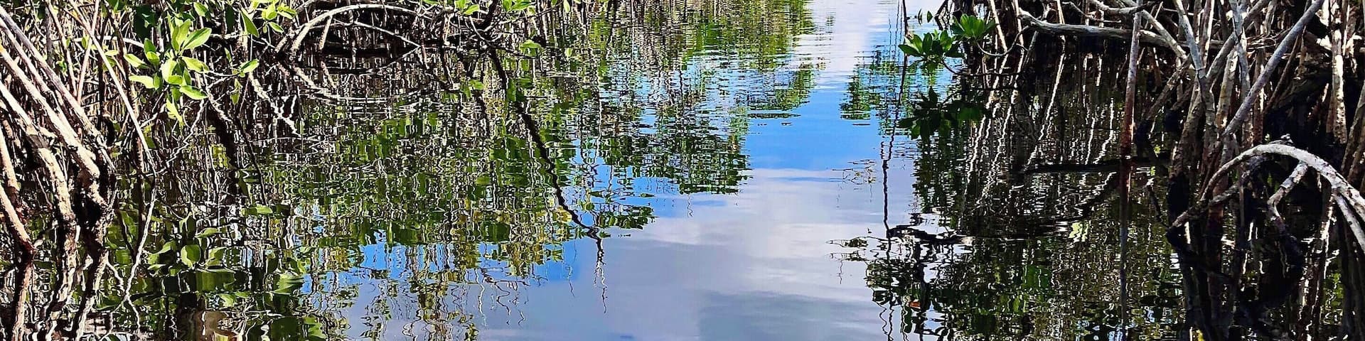 Kayaking in the Everglades, such a gorgeous and interesting park.