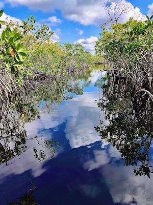 Kayaking in the Everglades, such a gorgeous and interesting park.